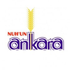Nuh'un Ankara