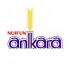 Nuh'un Ankara (1)